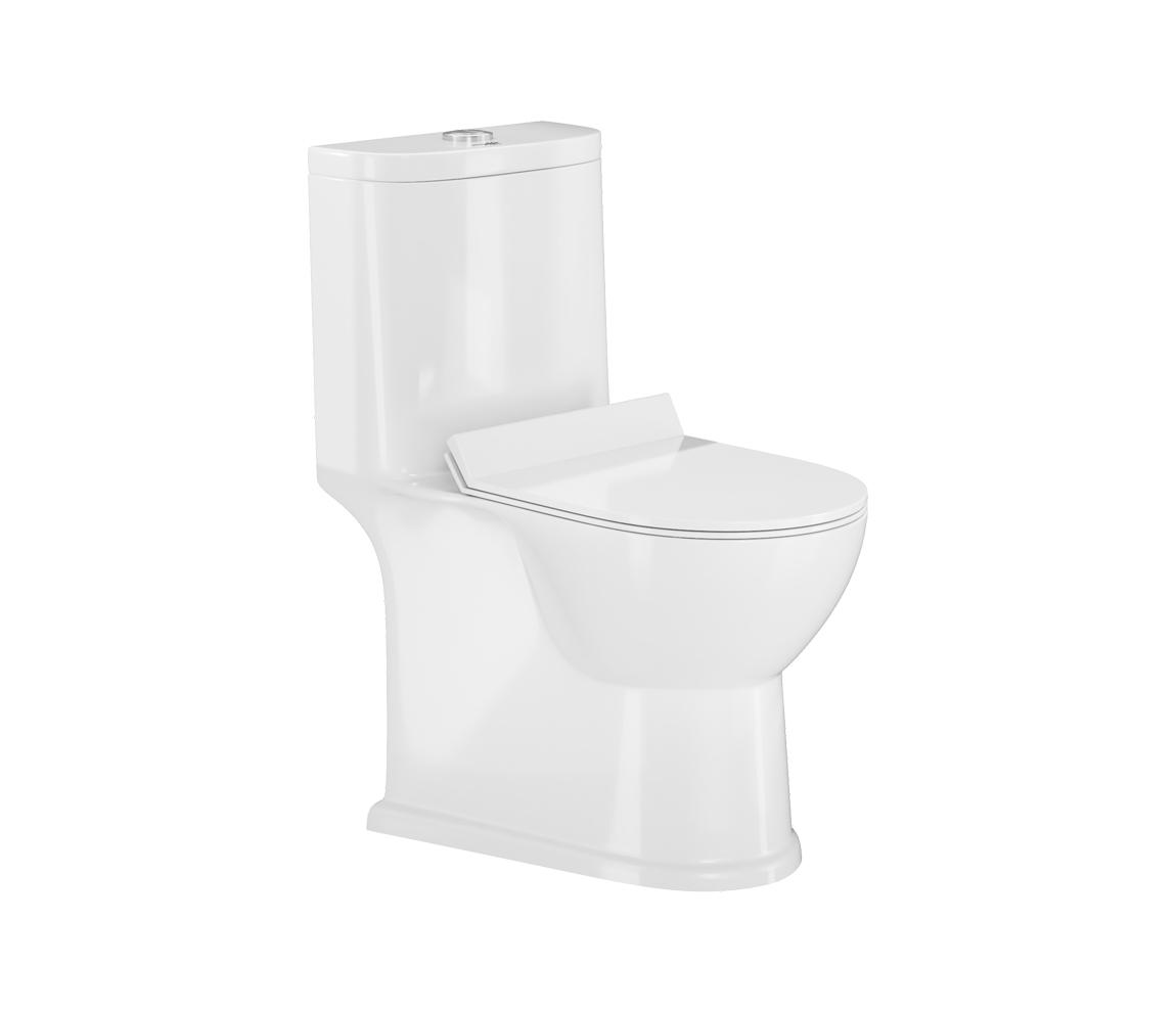 Ace WashDown One Piece Toilet - S 300