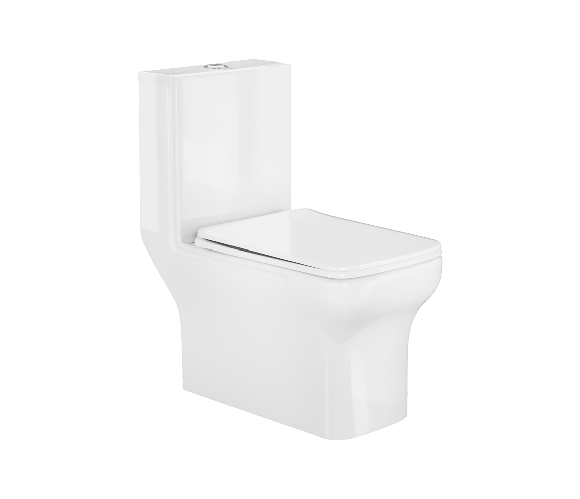 Evana One Piece Toilet - P