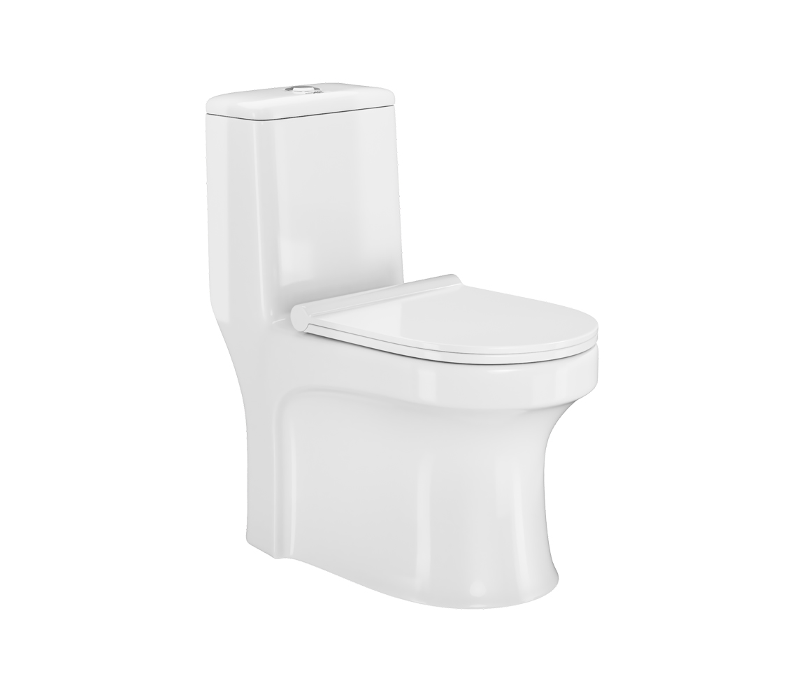 Ascent Neo One Piece Toilet - S 300