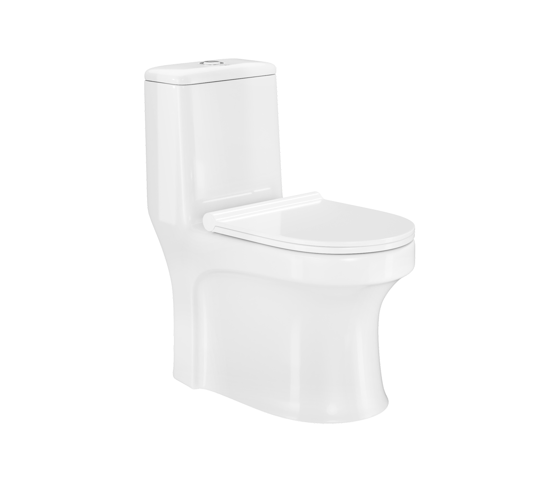 Ascent Neo One Piece Toilet - S 220 6D