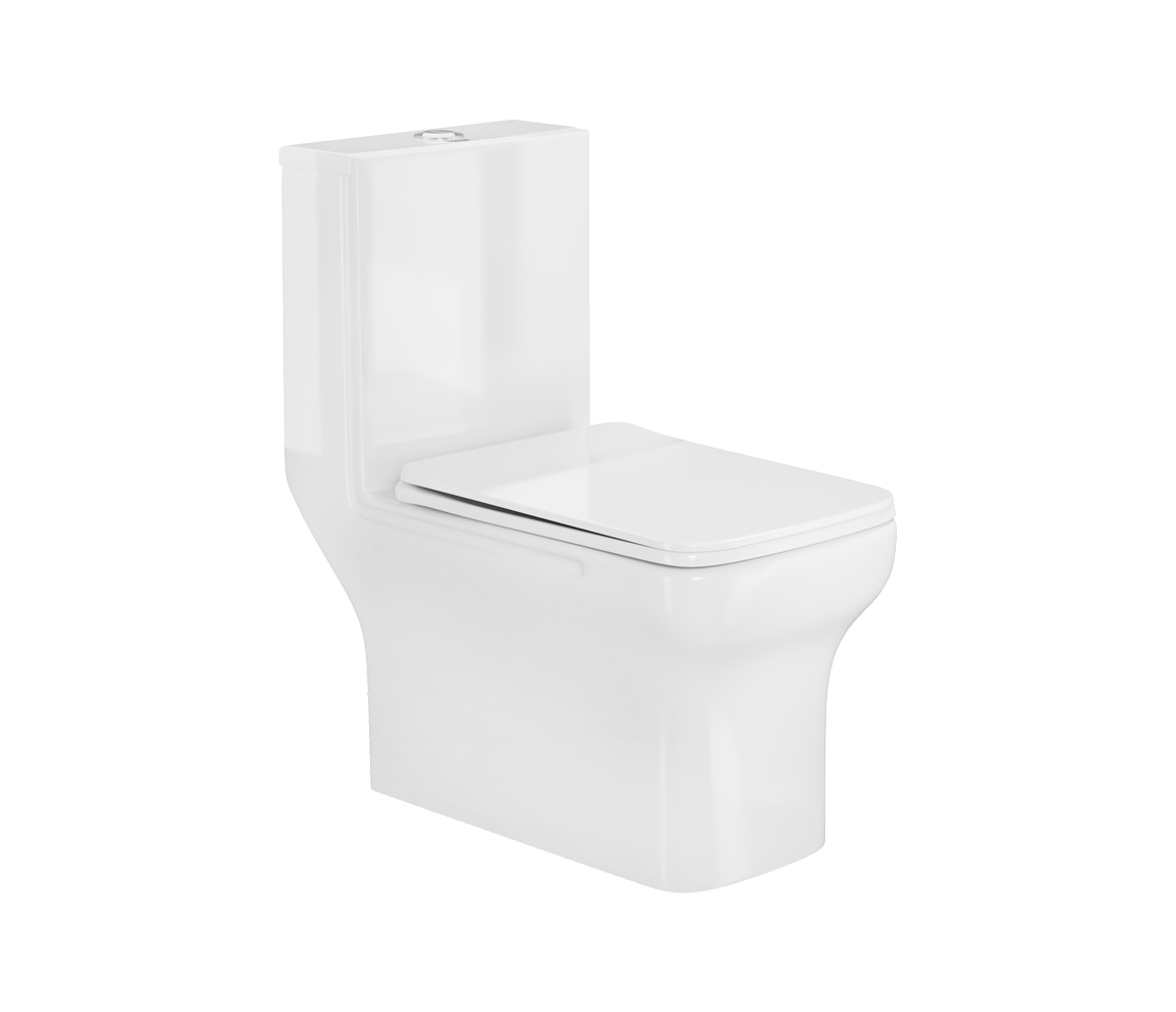 Evana One Piece Toilet - S 220