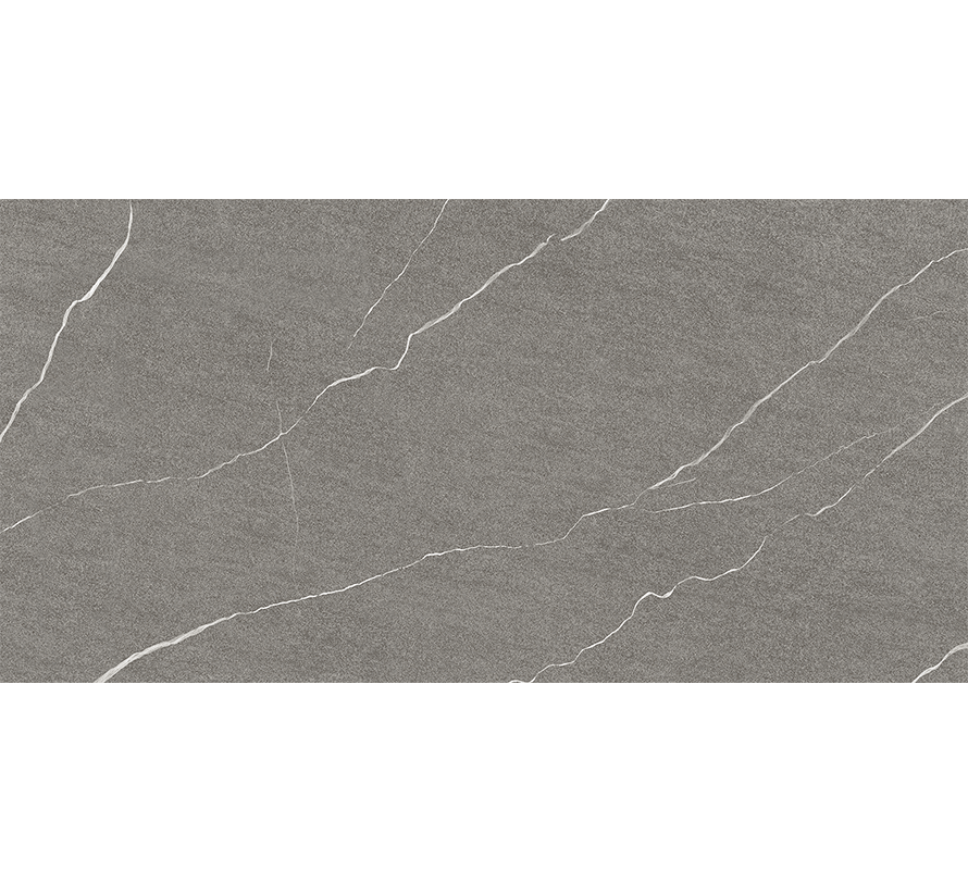 グレー ちぃ様 DAZZ AUSTRIA GREY MT 60X120 CM | Hindware Italian Tiles