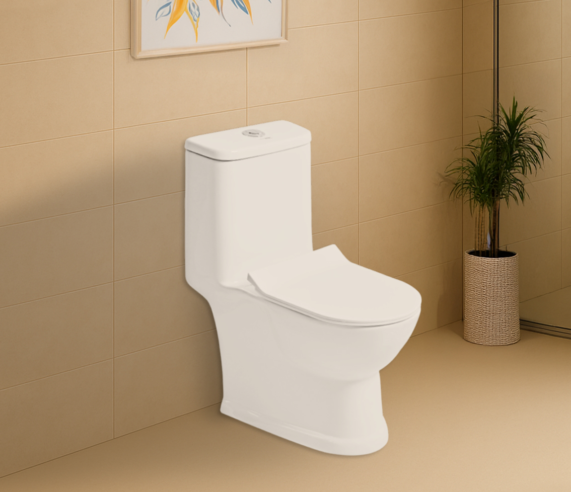 Ace WD One Piece Toilet - S 220