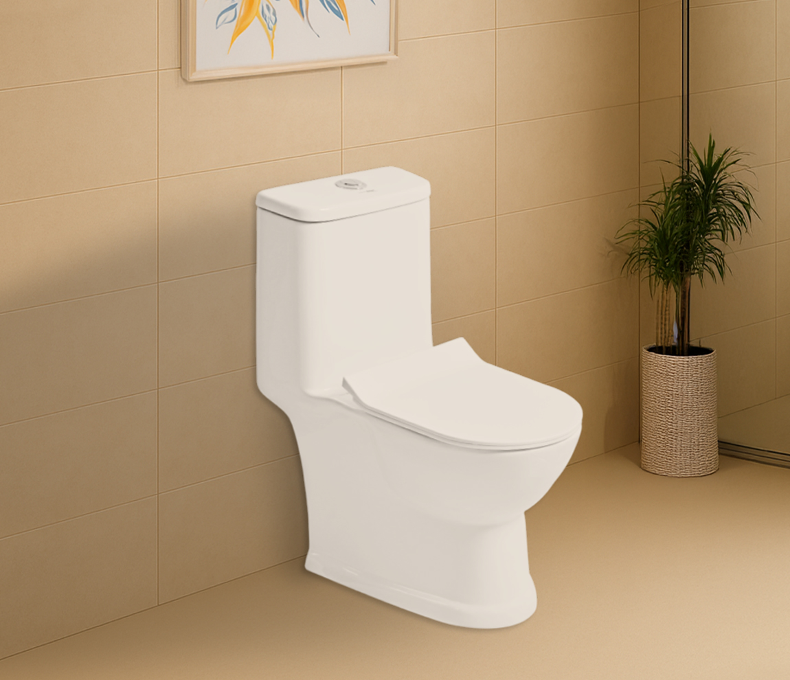 Ace WD One Piece Toilet S 220 with Integrated Jet